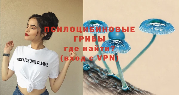 дурь Алексеевка