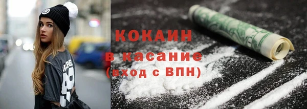 ПСИЛОЦИБИНОВЫЕ ГРИБЫ Алзамай