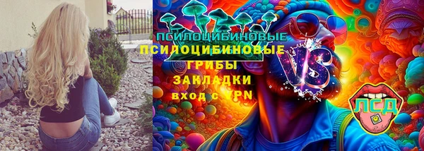 бошки Алексин