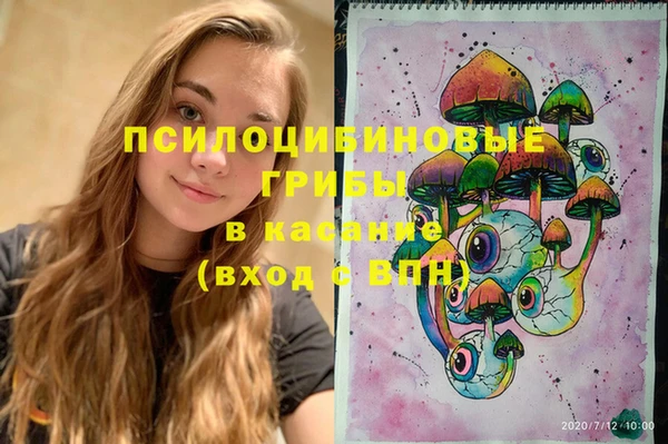 ПСИЛОЦИБИНОВЫЕ ГРИБЫ Алзамай