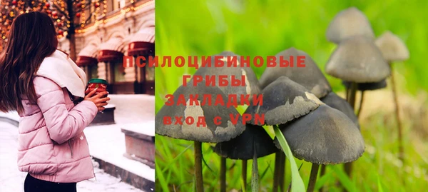 бошки Алексин