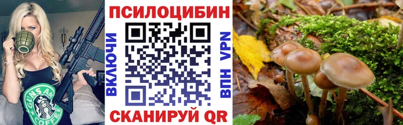 Галлюциногенные грибы Magic Shrooms  где купить наркоту  Сим 